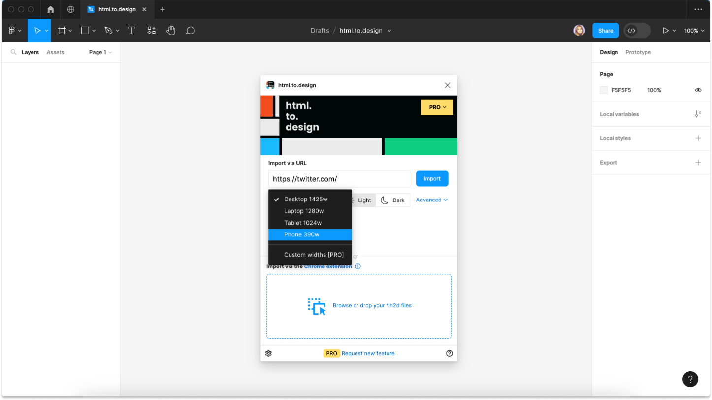 Screenshot of picking the basic settings in the html.to.design plugin.